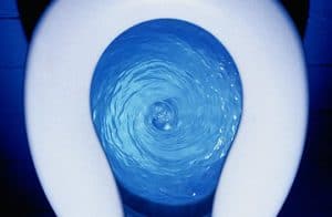 how much water to flush a toilet