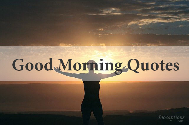 350+ Refreshing Good Morning Quotes To Start Your Good Day