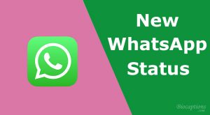 New WhatsApp Status