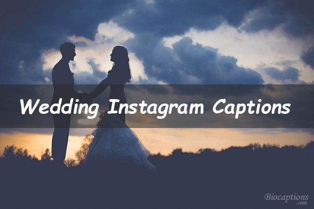 Top 350+ Wedding Captions For Instagram 2022 [New Collection]